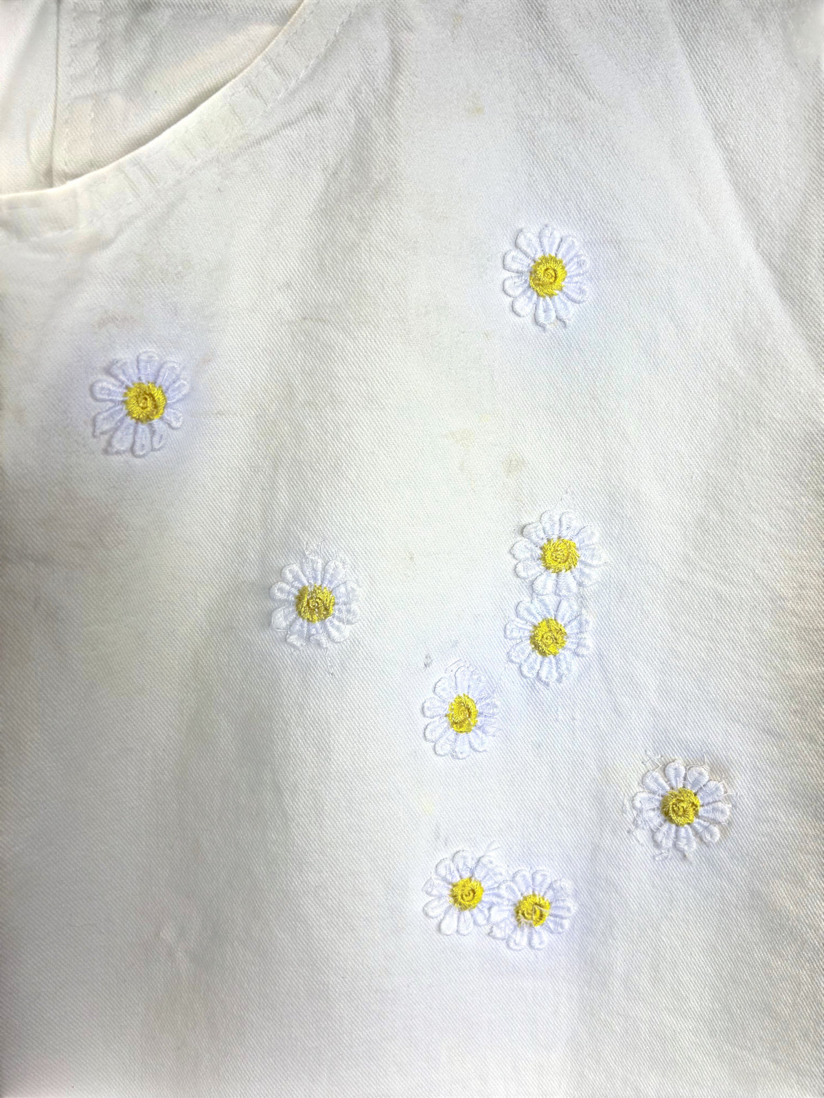 M3 - Daisy Dickies