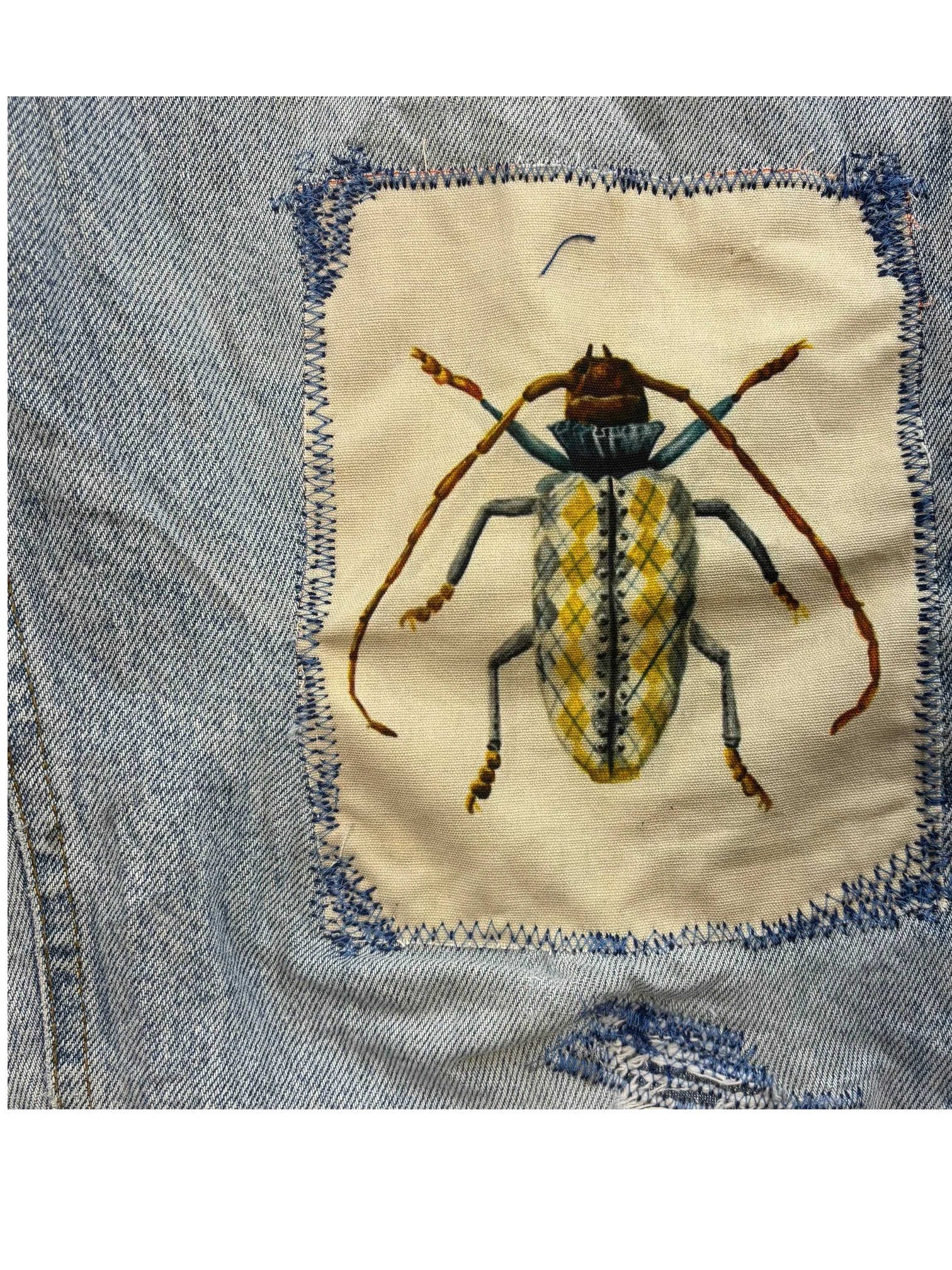Beetle Carhartt